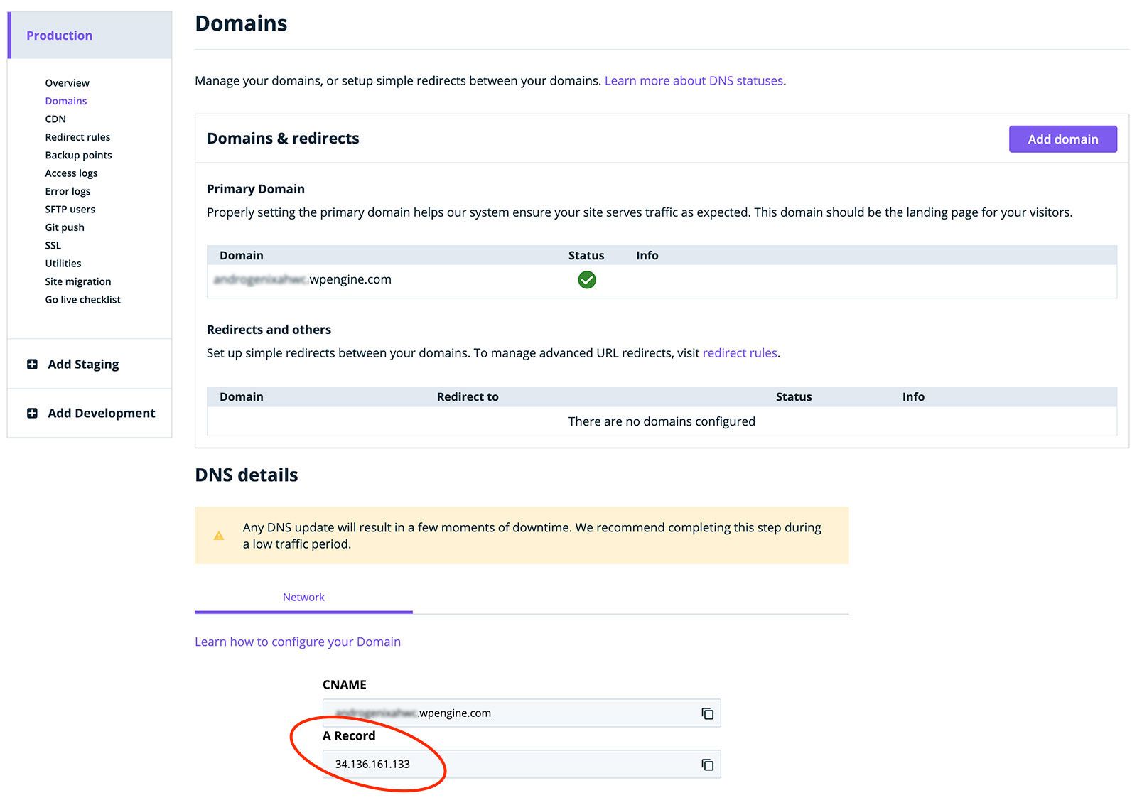 Domains Tab: A Record